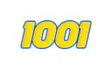 1001 1001