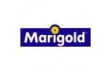 MARIGOLD MARIGOLD