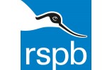 RSPB RSPB