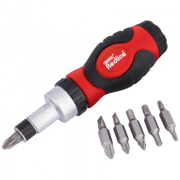 Ratcheting Screwdriver and Bit Set (6 Piece)