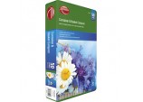 Container & Basket Compost - 50L