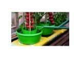 Plant Halos Green - Pack 3