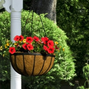 Flat Bar Hanging Basket - 16