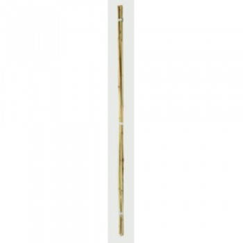 Bamboo Canes - 4’ Pack 20 Bamboo Canes - 4’ Pack 20