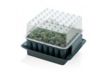 Plug Plant Trainer