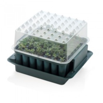 Plug Plant Trainer Plug Plant Trainer