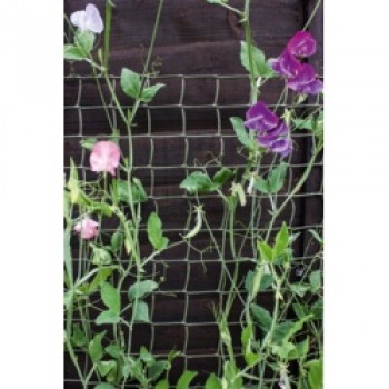 Climbing Plant Support Green - 5 x 0.5m