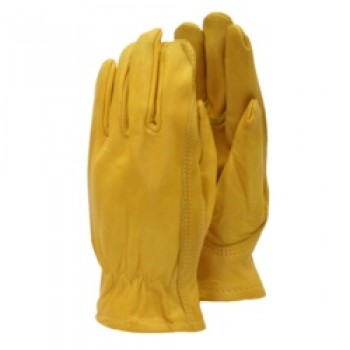 Premium - Leather Gloves - Ladies Size - M Premium - Leather Gloves - Ladies Size - M